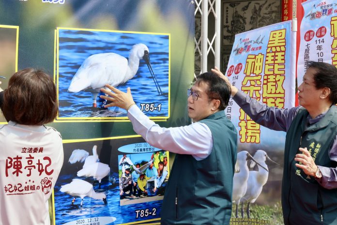 2025愛你愛我黑面琵鷺保育季開幕1