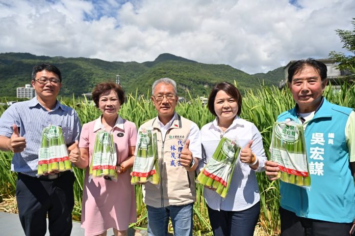 溫泉茭白筍上市發表會