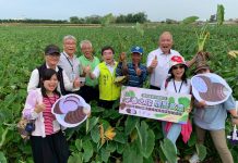 芋香之旅.履歷食農──大甲芋頭魅力再現