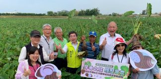 芋香之旅.履歷食農──大甲芋頭魅力再現