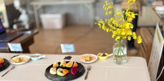 苗栗成功打造農村發展示範區 吸引德國金牌農村團6年3度造訪