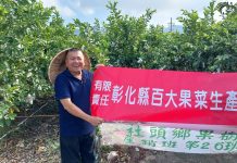 芭樂價格「貴森森」創歷史新高 果農無奈採收率僅剩兩成