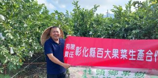 芭樂價格「貴森森」創歷史新高 果農無奈採收率僅剩兩成