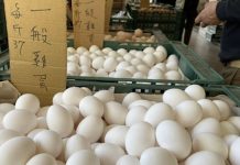 彰縣啟動蛋雞場「芬普尼全面採樣監測」 強化源頭把關、確保民眾食用安