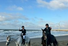 匠師的故鄉休閒農業區馬術的匠師推廣休閒農遊