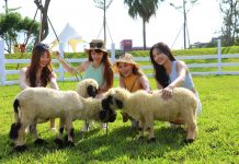 麗寶樂園親子農場即日起試營運 樂園遊客免費體驗