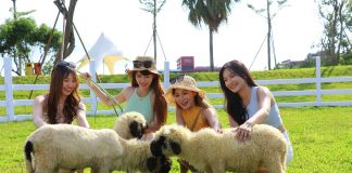 麗寶樂園親子農場即日起試營運 樂園遊客免費體驗