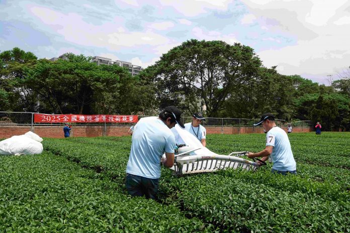 吳永春(右1)與兄弟吳仁智(中)、吳權芳(左1)組隊獲得全國機採茶菁技術競賽季軍