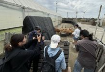 大甲匠師的故鄉進行食農永續體驗真馬及YouBike鐵馬遊大甲海岸線