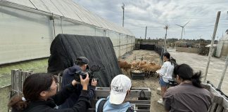 大甲匠師的故鄉進行食農永續體驗真馬及YouBike鐵馬遊大甲海岸線