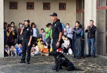 最萌反毒陣容!中市警犬隊聖誕裝現身聖誕親子活動