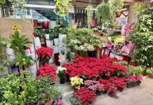 板橋花市Fun耶誕 農來作伙High