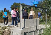 越堤開水門危險度破表 楊瓊瓔試走險摔跤 農水署允變更設計