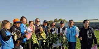 拔蘿蔔、拔蘿蔔、嘿呦!嘿呦!拔蘿蔔」大里夏田社區邀請大家一起”拔菜頭 好彩頭”