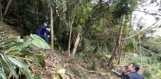 山區驚見白骨 太平警憑「十年前記憶」 助失蹤婦女尋回返家路