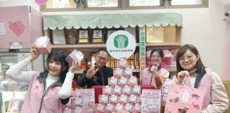 年節新品上市 飛天豬巧巧盒隨身包肉鬆成為嘗鮮首選 年節嚐味無負擔