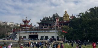 2026來趣南投草屯拔蘿蔔 體驗產地到餐桌食農教育