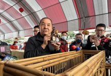 迎接馬年 紫南宮10萬信眾排隊領招財錢母