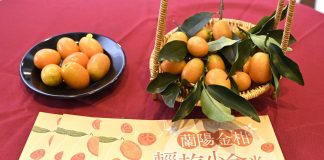 蘭陽黃金柑產業再升級 第21屆品質評鑑揭曉、創意加值同步搶市