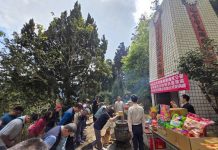 緬懷林業先賢 舉辦人倫分站榮民塔春季祭典