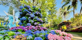 中台灣好玩卡一站式服務 暢遊苗栗山城亮點、深度體驗多元旅遊