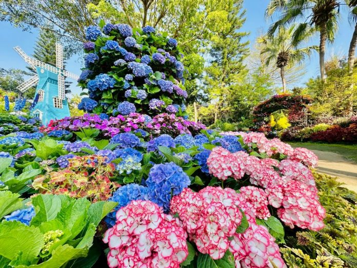 1150329a花露農場