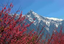 玉山在哪裡? 「看見玉山–多視角之美」影像徵集活動