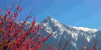 玉山在哪裡? 「看見玉山–多視角之美」影像徵集活動