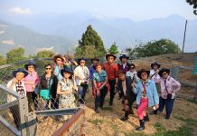 古稀台大校友跨海重聚清境 半日牧羊人同學會掀熟齡旅遊新風潮