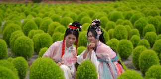 中社觀光花市【荷舞漫波」漢服攝影活動登場