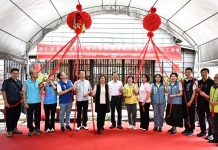 台灣菸葉耕種時業改進社修復竣工 再現日式木造建築風華