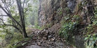 郡大林道預計115年7月復通!南投分署籲汛期入山務必注意安全