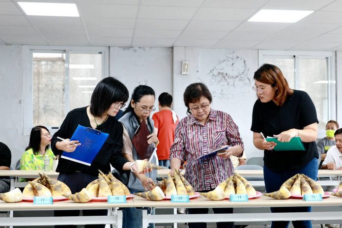 基隆綠竹筍評鑑登場 邱佩琳肯定農友用心栽培 推動行銷拓展市場7