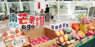 2026台南國際芒果節6/27登場 香約台南仲夏芒幸福