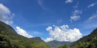 「原」來你在奧萬大 7月31日至8月2日全民10元入園