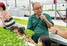 大安區農會推動食農教育 從採收到料理體驗水耕蔬菜栽培