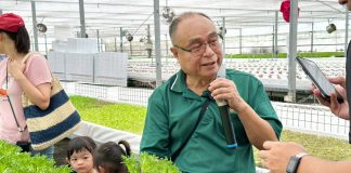 大安區農會推動食農教育 從採收到料理體驗水耕蔬菜栽培
