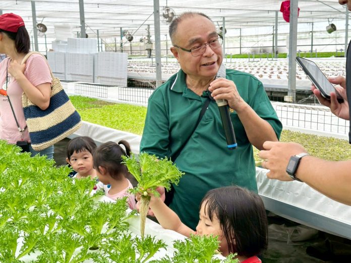水耕蔬菜