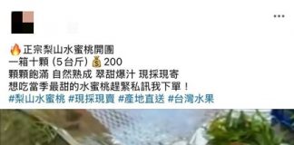 梨山水蜜桃「10顆才200元」?婦人掉「實名認證」陷阱 烏日警急到宅揭穿騙局