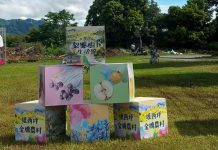 壢西坪「跨休區合作」導入湖東低碳遊園車 帶遊客漫遊金牌農村