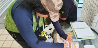 五色套印走讀 大甲商圈雙路線集章攻略上線