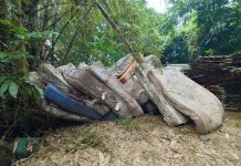 中興新村虎山步道 驚見廢棄床墊