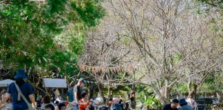 山林樂音、部落風味與五條山村慢旅 邀民眾共赴秋日盛會