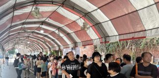 白沙屯作客媽駐駕草屯三王宮 信眾求壓轎金保平安