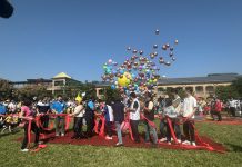 115年度幼兒體能運動會歡樂動 宜居南投‧親子樂活城市